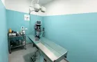 Dalla visita di base alla chirurgia ortopedica: ecco come ci prendiamo cura del tuo animale domestico con esperienza e tecnologie moderne.