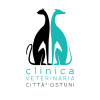 Dalla prima visita ai trattamenti avanzati: la Clinica Veterinaria Città di Ostuni è al fianco del tuo animale con passione, competenza e tecnologie all’avanguardia.